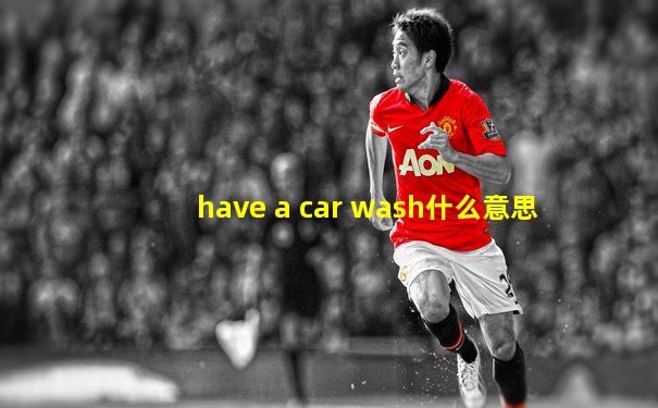 have a car wash什么意思